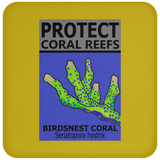 PCRS BIRDS C