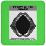 GR PYGW J C