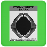 GR PYGW J C