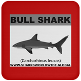 SSP BULL SHARK C