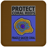 PCRS SAU C