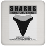 GR SSPX T MEGALODON C