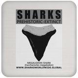 GR SSPX T MEGALODON C