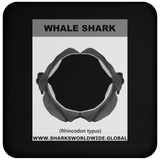 GR WHALE S J C