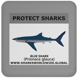 PRS BLUE SHARK V1 C