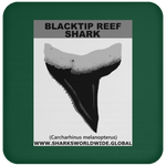 GR BLACKTIP REEF T C