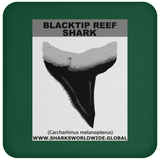 GR BLACKTIP REEF T C