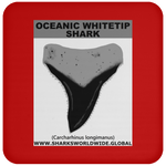 GR OCEANIC WT T C