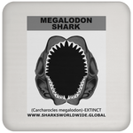 GR MEGALODON J C