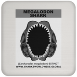 GR MEGALODON J C