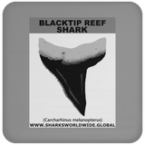 GR BLACKTIP REEF T C