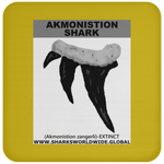 GR AKMONISTION T C