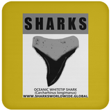 GR SRS T OCEANIC WT C