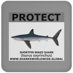PRS SHORTFIN V2 C