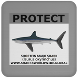 PRS SHORTFIN V2 C