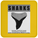 GR SRS T OCEANIC WT C