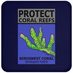 PCRS BIRDS C
