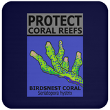 PCRS BIRDS C