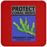 PCRS BIRDS C