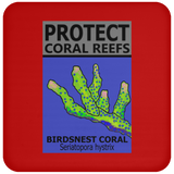 PCRS BIRDS C