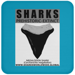 GR SSPX T MEGALODON C
