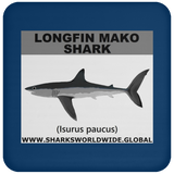 SSP LONGFIN C