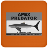 AP BLACKTIP REEF C
