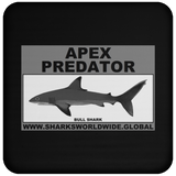 AP BULL SHARK C