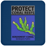 PCRS BIRDS C