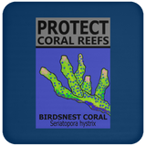 PCRS BIRDS C