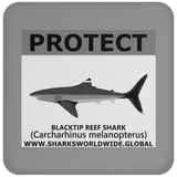 PRS BLACKTIP REEF V2 C