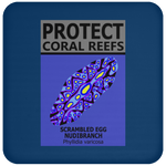 PCRS S EGG C