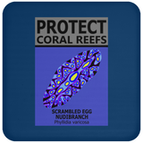 PCRS S EGG C