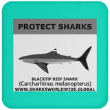 PRS BLACKTIP REEF V1 C