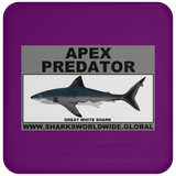 AP GREAT WHITE C