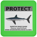 PRS SHORTFIN V2 C