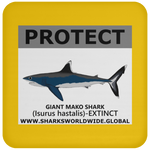 PRS GIANT MAKO V2 C