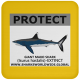 PRS GIANT MAKO V2 C