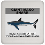 SSP GIANT MAKO C