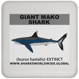 SSP GIANT MAKO C