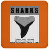 GR SRS T OCEANIC WT C