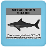 SSP MEGALODON C