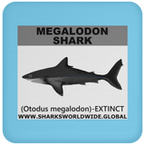 SSP MEGALODON C