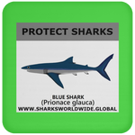 PRS BLUE SHARK V1 C