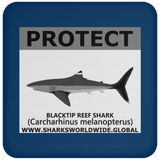 PRS BLACKTIP REEF V2 C