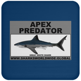 AP GREAT WHITE C
