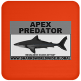 AP MEGALODON C