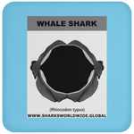 GR WHALE S J C