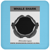 GR WHALE S J C