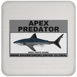 AP GREAT WHITE C